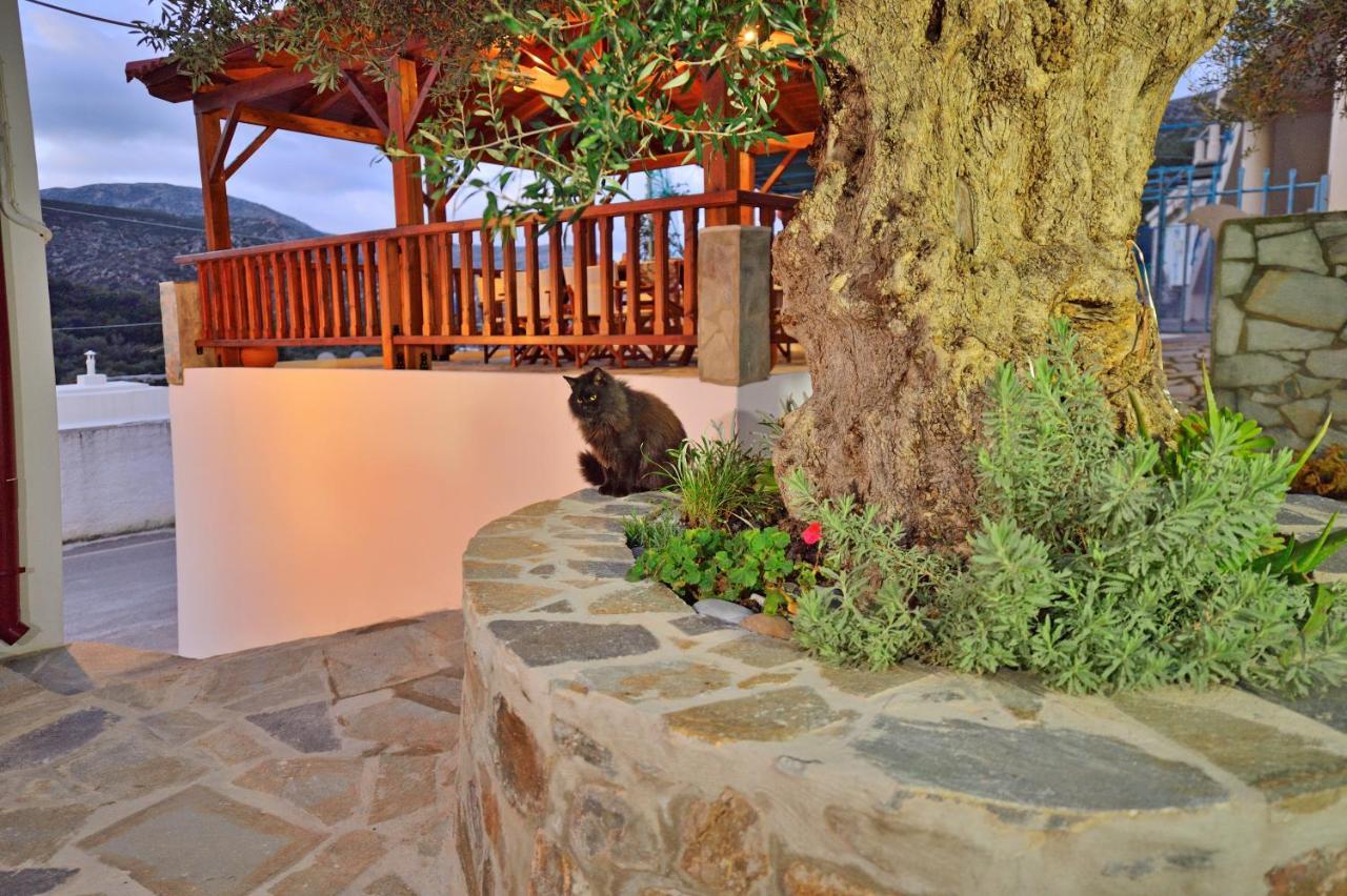Plokamos House Villa Plokamianá Buitenkant foto
