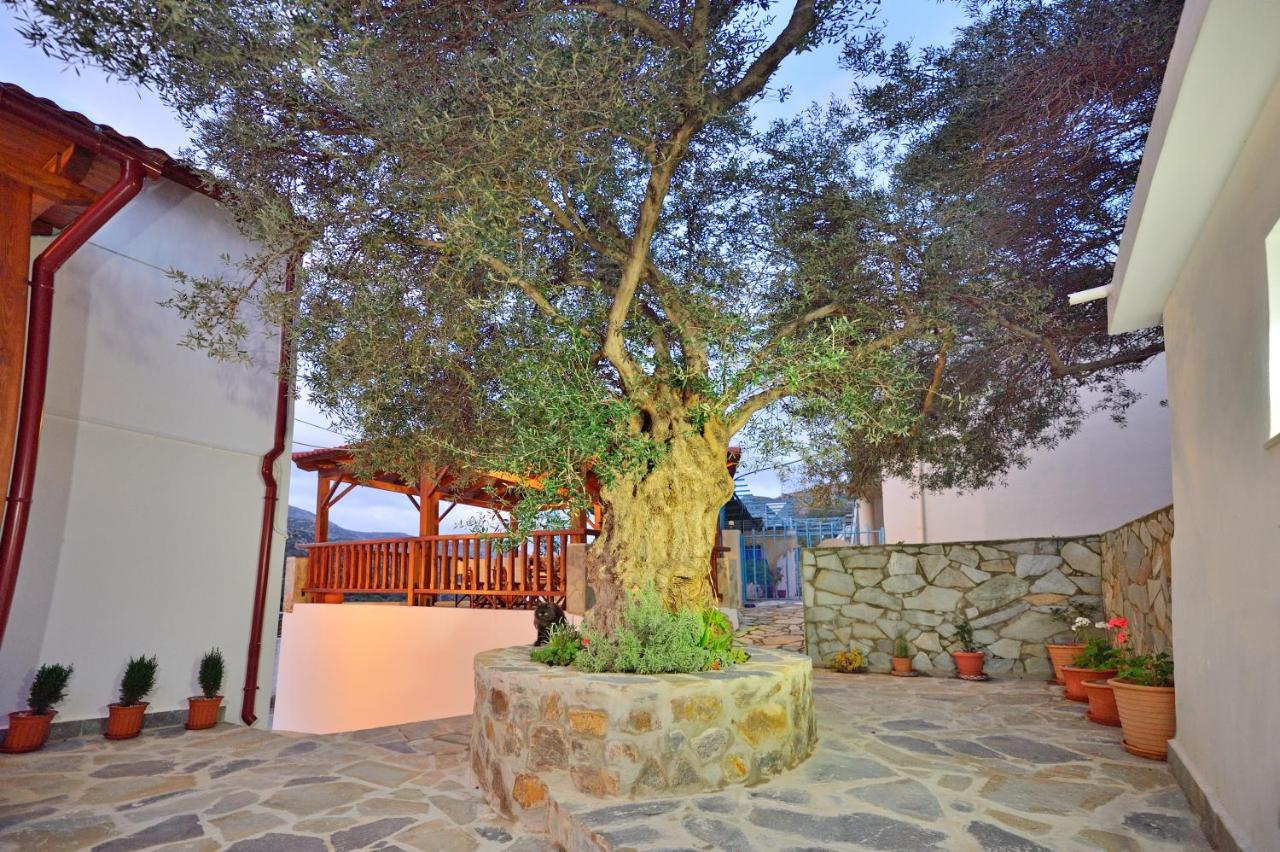 Plokamos House Villa Plokamianá Buitenkant foto